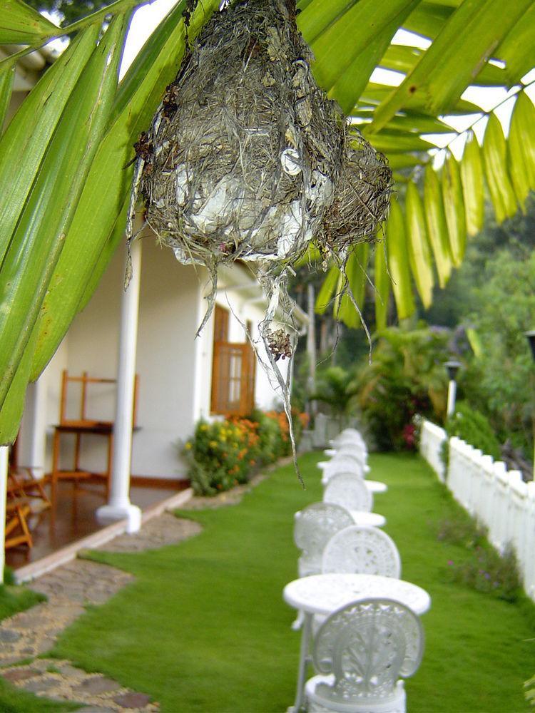 Water Garden Hotel Belihuloya Exterior photo